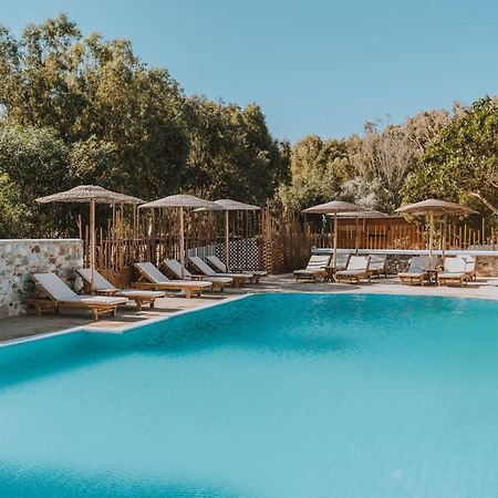Coralli Seaside Resort Livadakia المظهر الخارجي الصورة